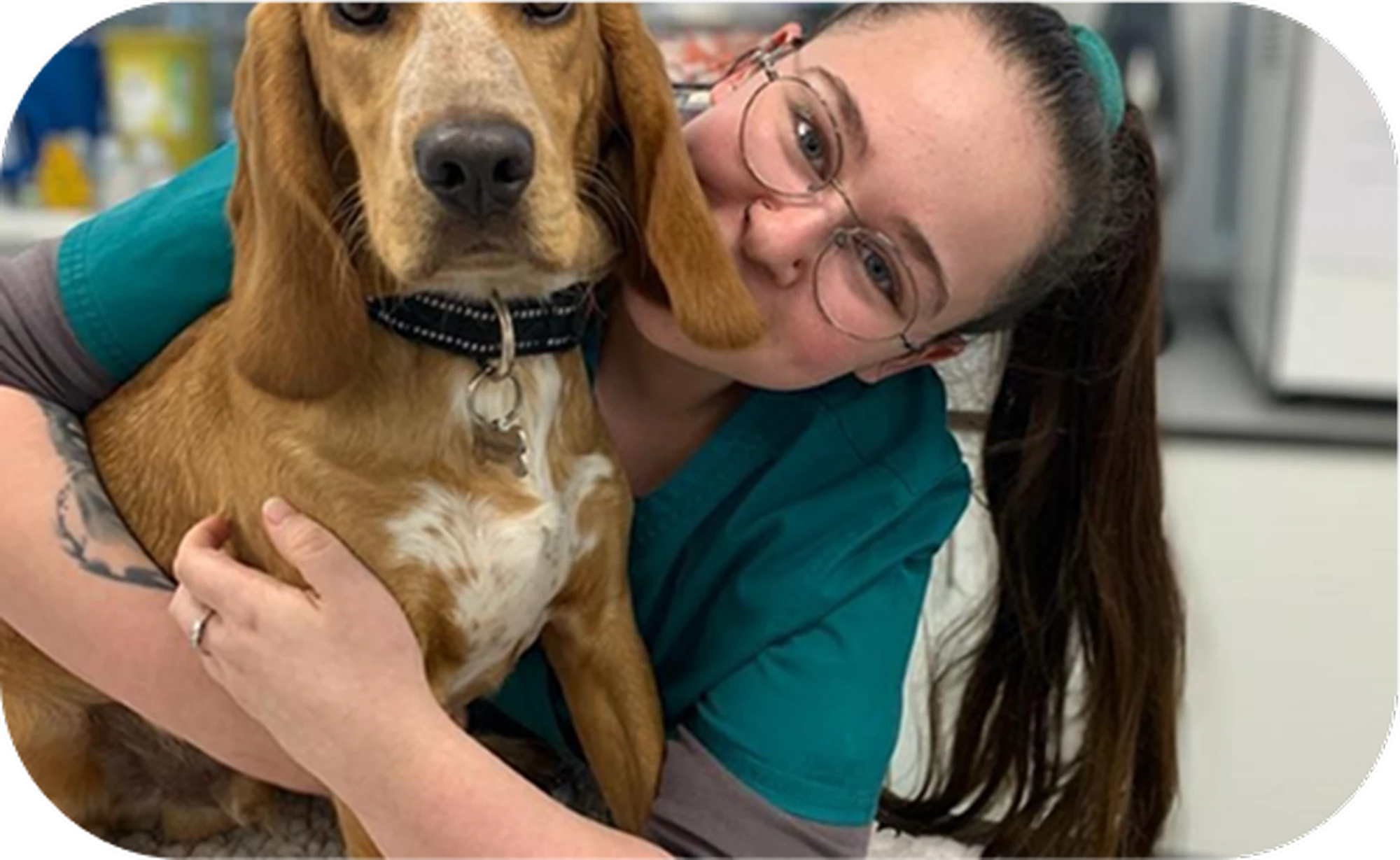 A smiling woman with a dog during pet consultation service.