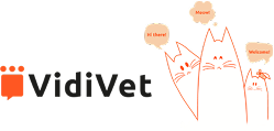 Black background with "VidiVet" text in gray.