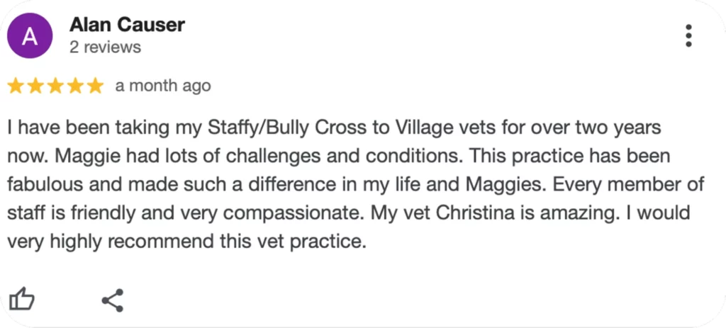 A 5-star review from a month ago praises a vet practice for compassionate care.