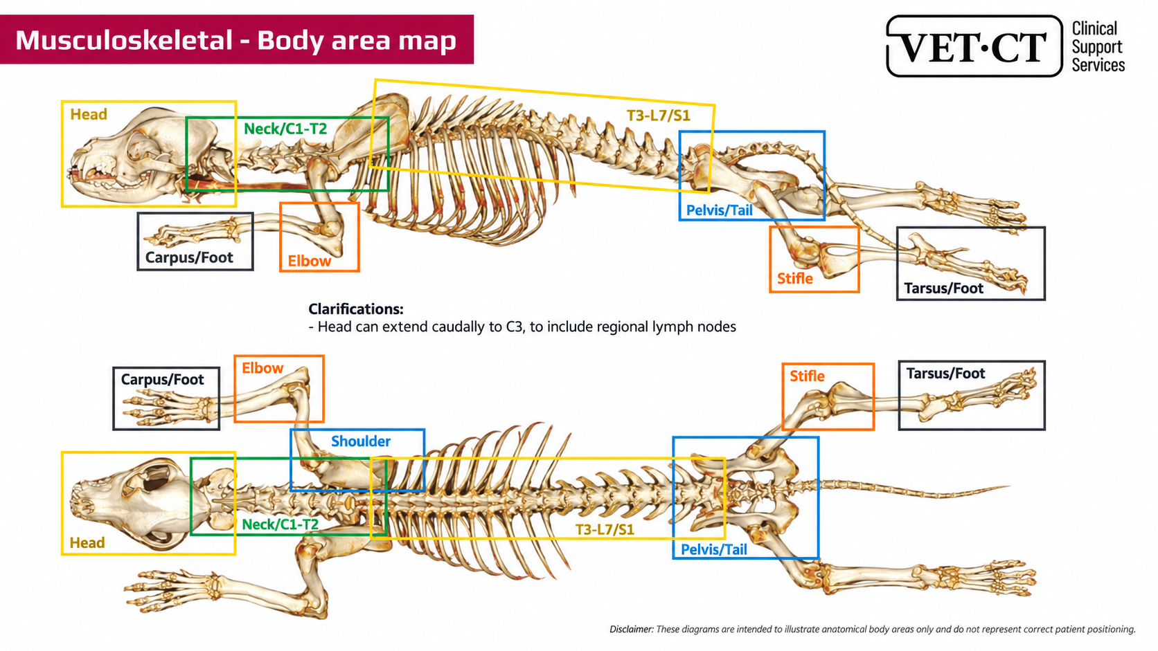 <strong>VetCT</strong> musculoskeletal body area map