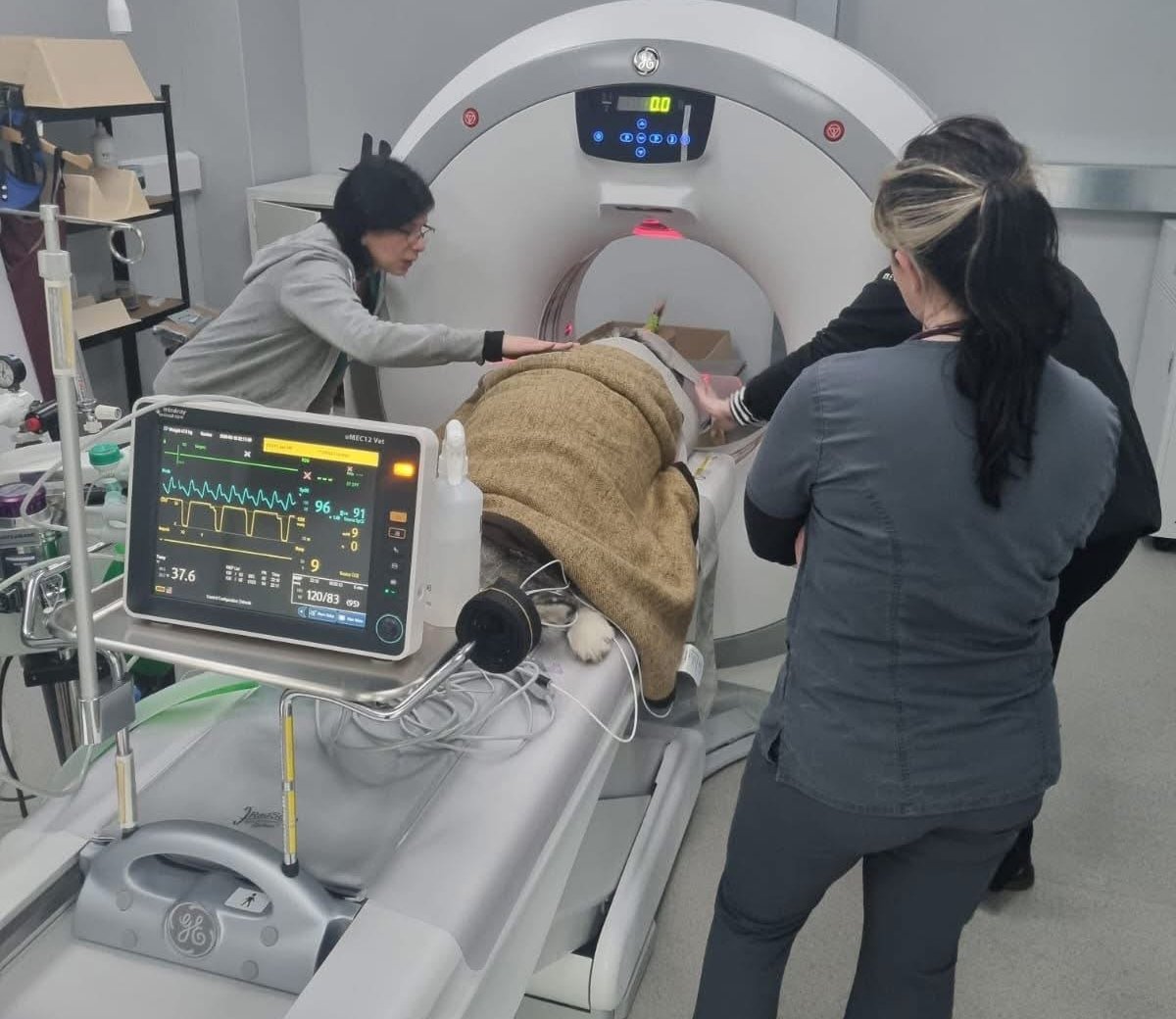 Village Vets team performing a CT scan
