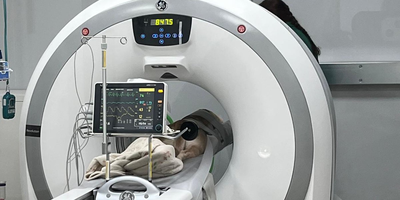 Village Vets CT scanner suite in Formby